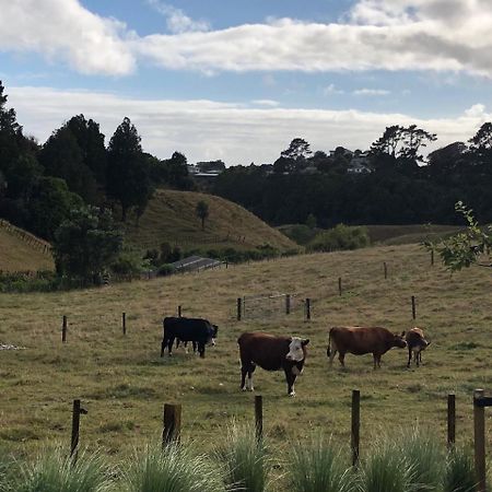 Pukeko Lodge Bnb New Plymouth Kültér fotó