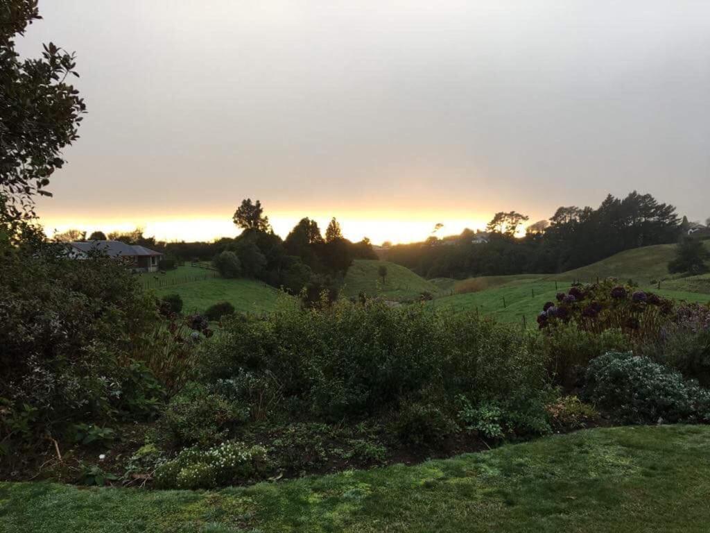 Pukeko Lodge Bnb New Plymouth Kültér fotó