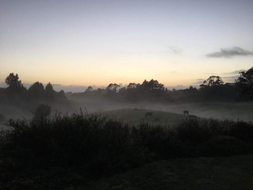 Pukeko Lodge Bnb New Plymouth Kültér fotó